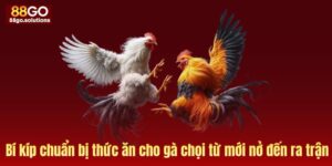 Ảnh bìa thức ăn cho gà chọi từ mới nở đến lúc ra trận